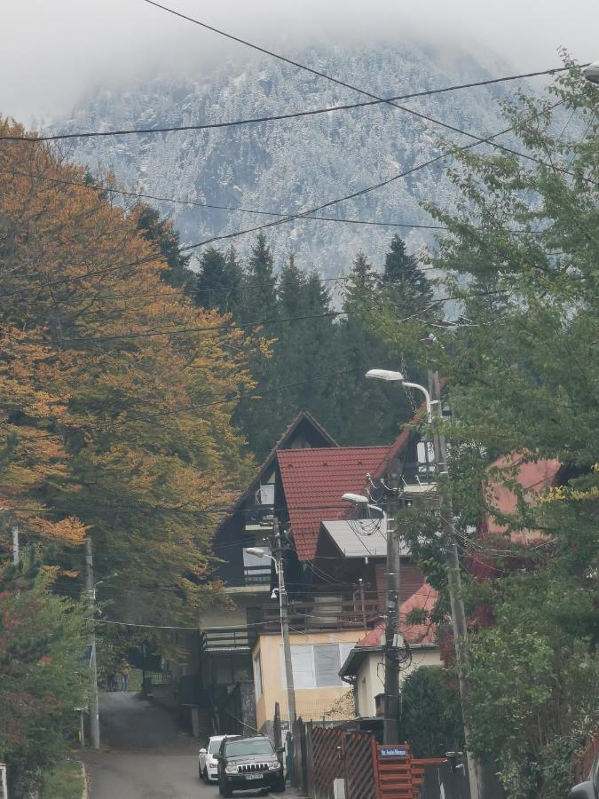 Apartament Kalinderu K2 Buşteni Exterior foto