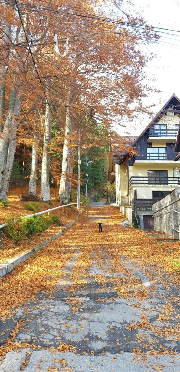 Apartament Kalinderu K2 Buşteni Exterior foto