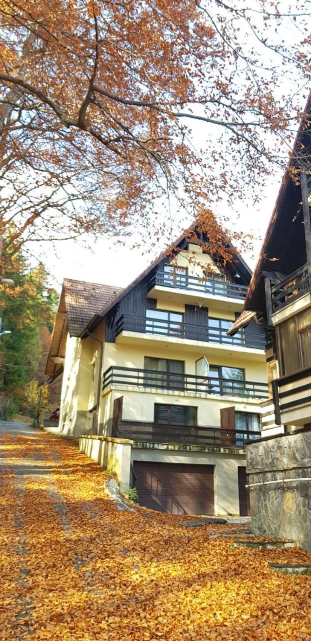 Apartament Kalinderu K2 Buşteni Exterior foto